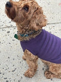 Public Pups Preppy Dog Sweater in Clubhouse Purple, stylish knitwear for small dogs, featuring a cozy, preppy design from Shop Public Prep.
