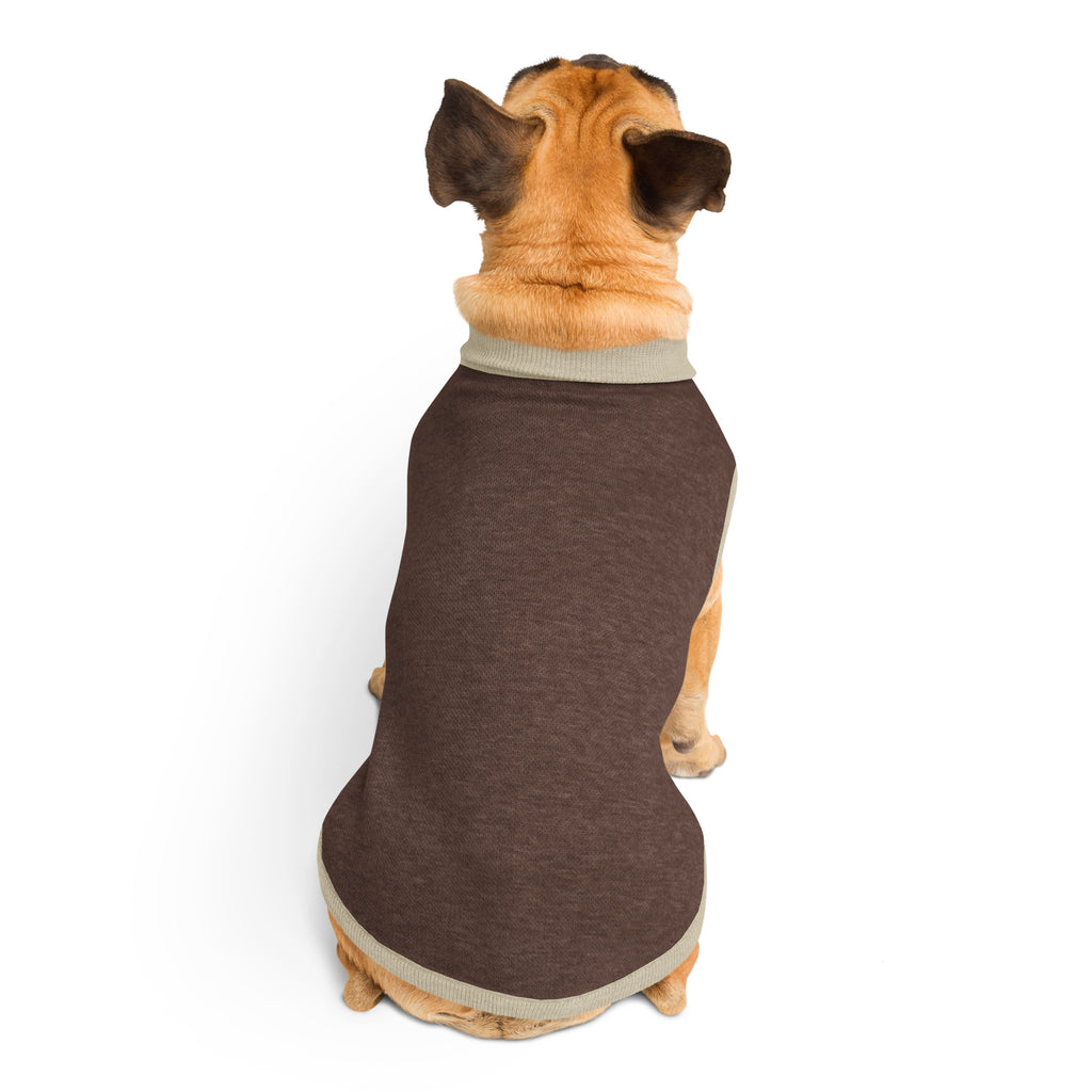 Knitted pet sweater medium back view on dog