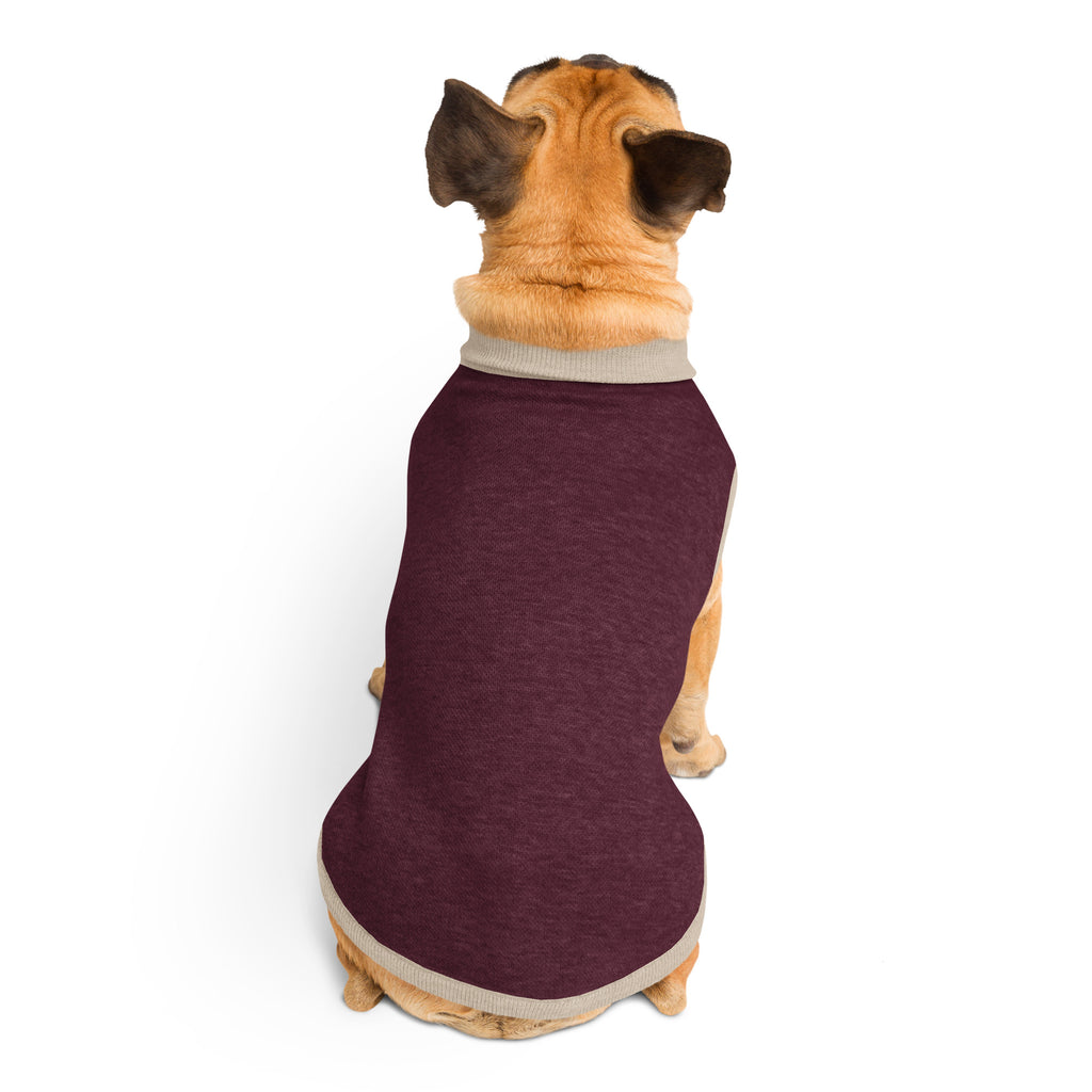 Public Pups Classic Knitted Dog Sweater in Maroon and Taupe - back view on Pug