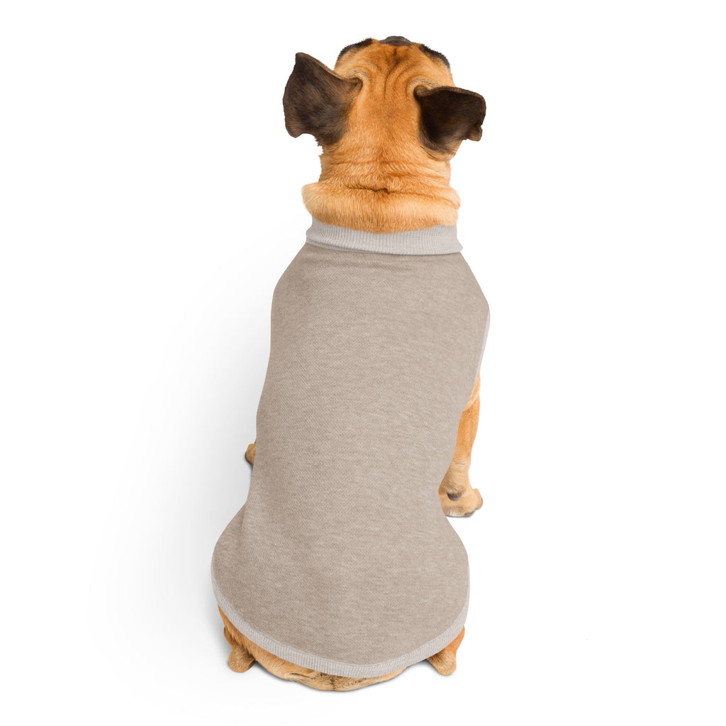 Rear view of knitted dog sweater on pet showing jacquard weave