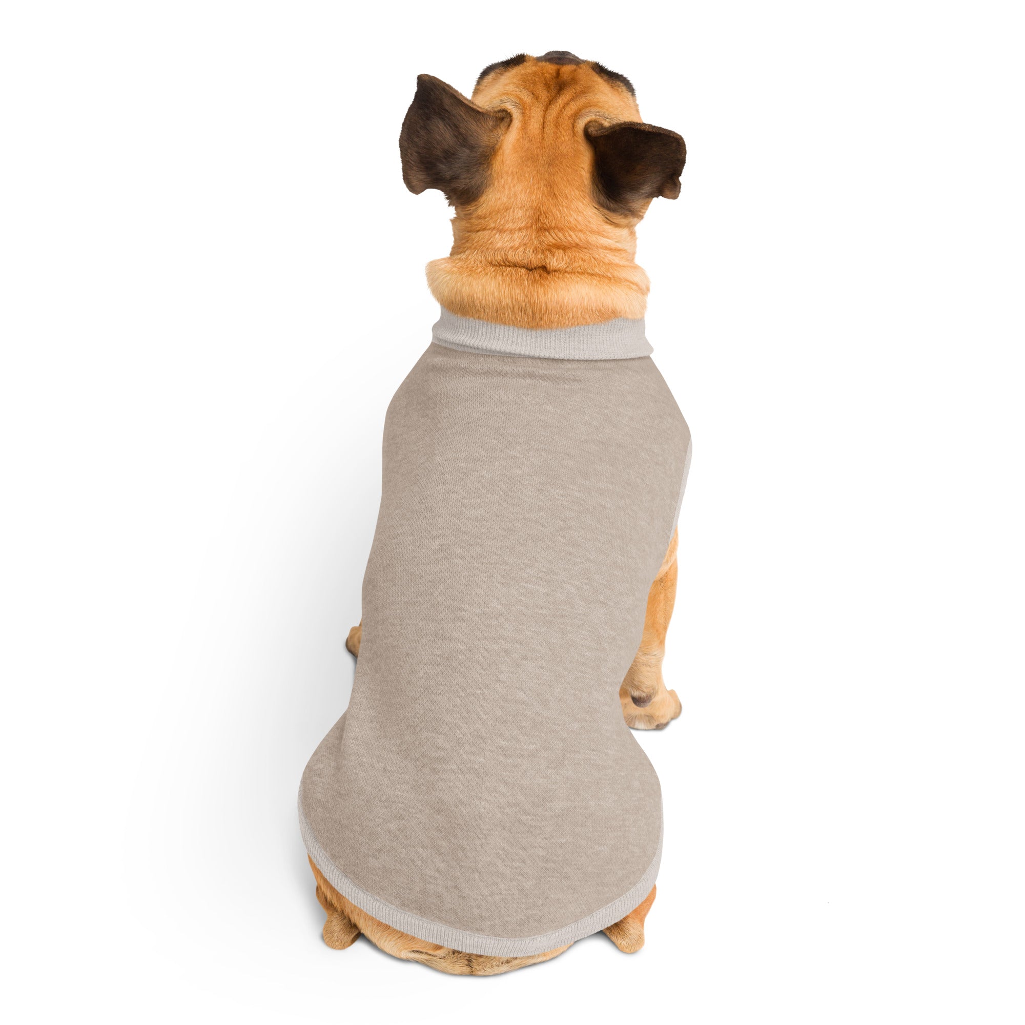Rear view of knitted dog sweater on pet showing jacquard weave