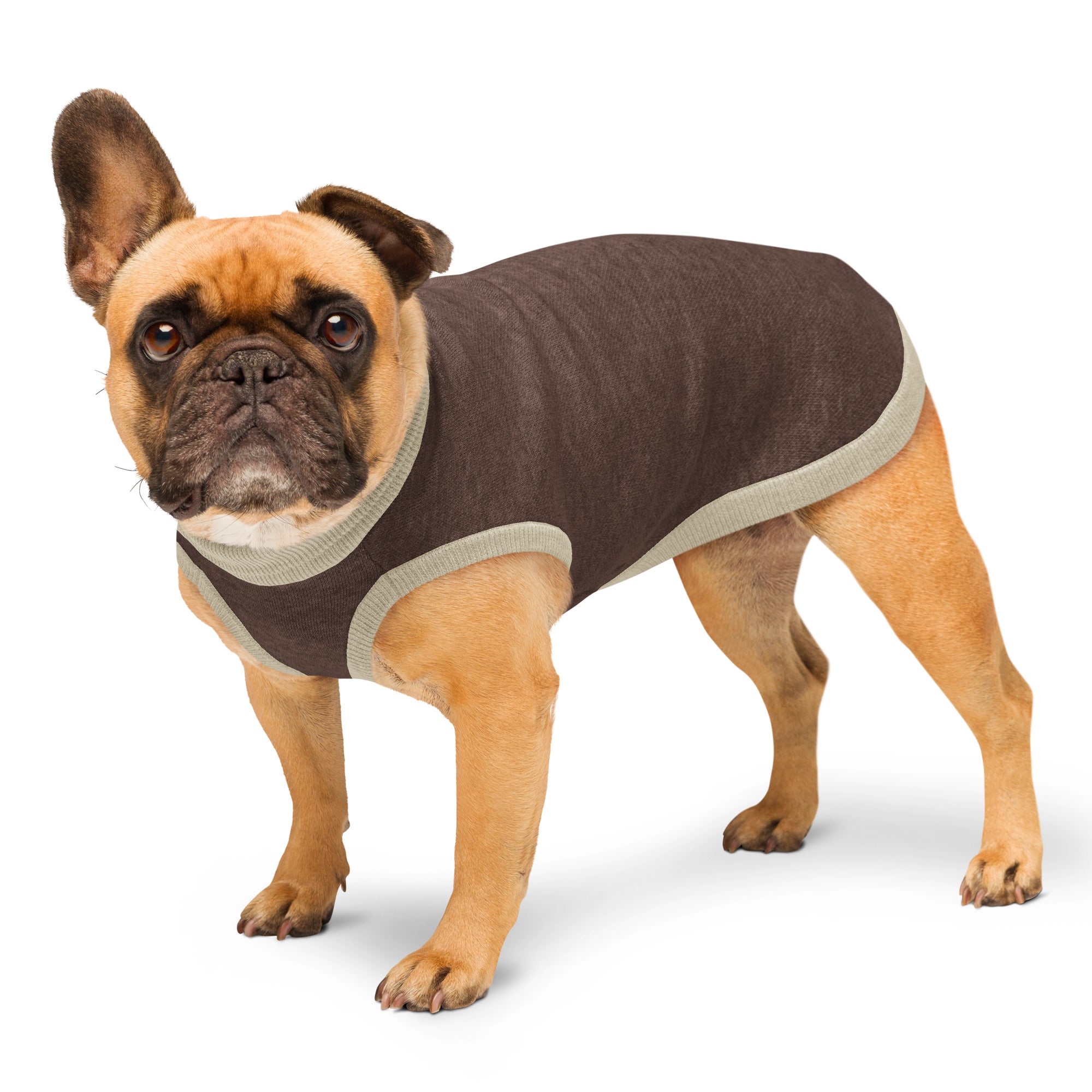 Knitted pet sweater medium side-front view on dog