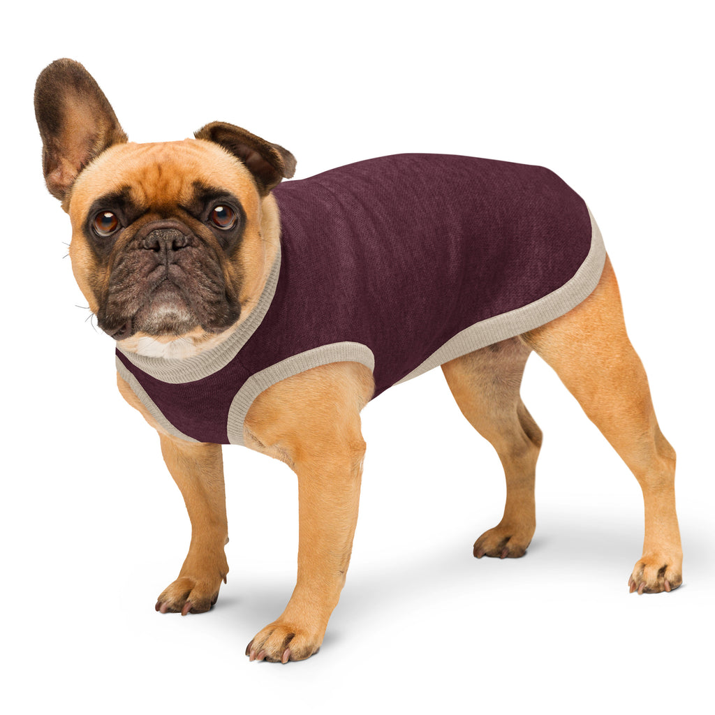 Public Pups Classic Knitted Dog Sweater in Maroon and Taupe - side profile on model