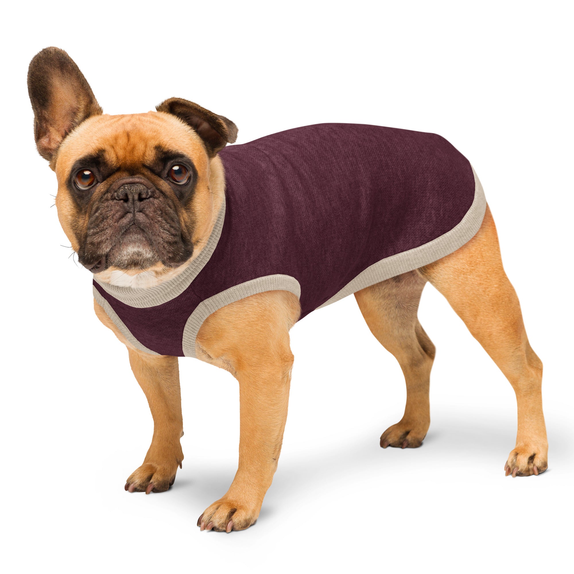 Public Pups Classic Knitted Dog Sweater in Maroon and Taupe - side profile on model
