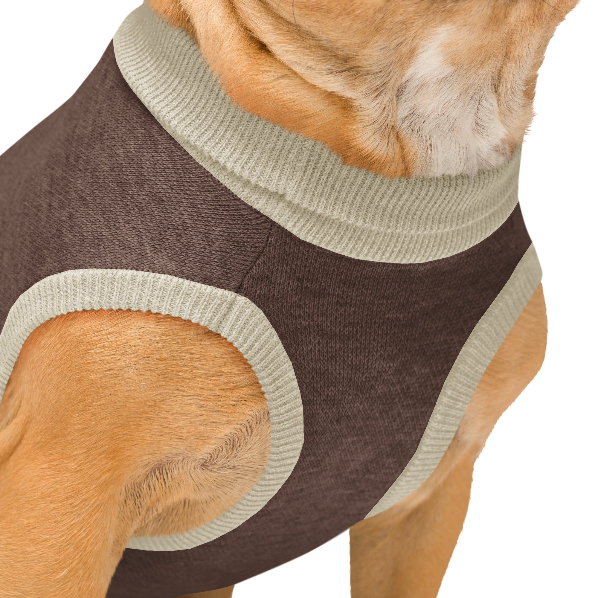 Knitted pet sweater details and fabric texture