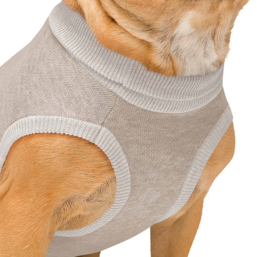 Close-up detail of knitted pet sweater ribbed neck and fabric texture