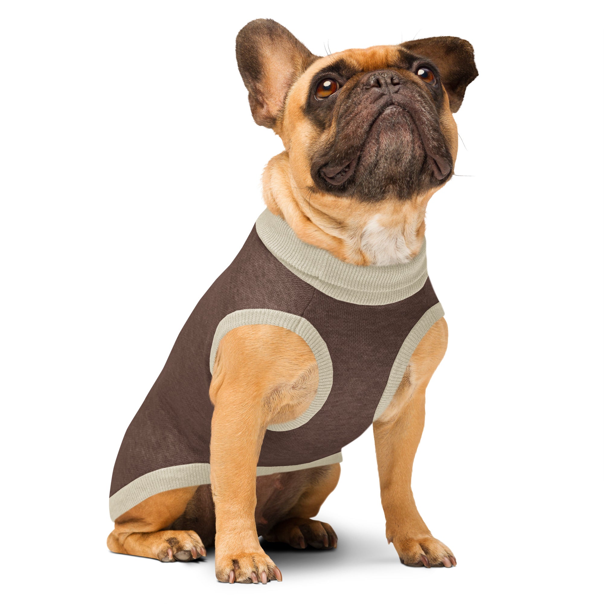 Knitted pet sweater in brown and beige on dog