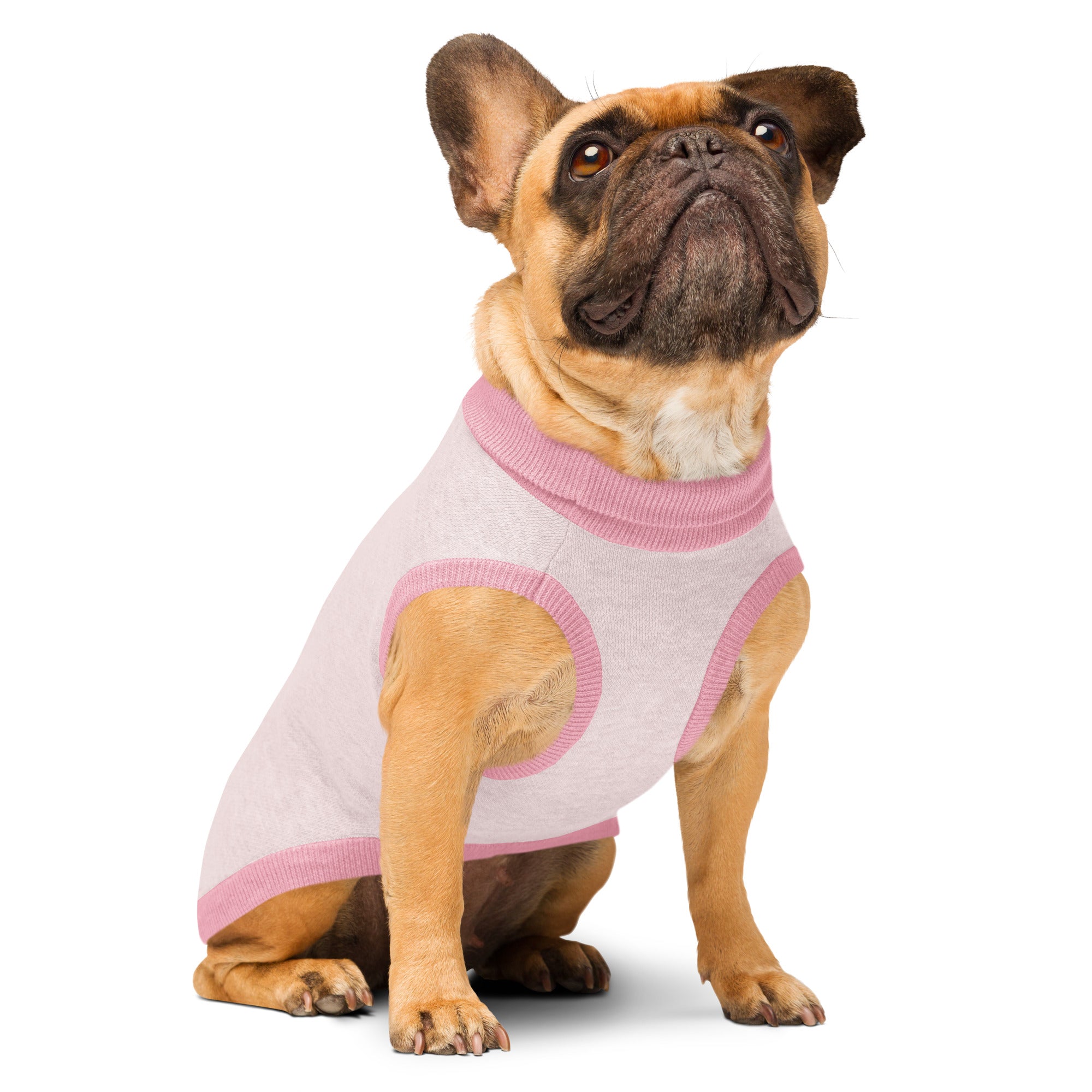 Dog wearing Public Pups Classic Knitted Dog Sweater front angle