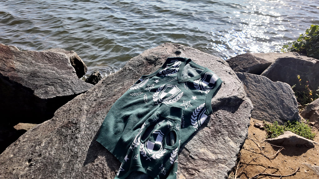Hunter Green Crest sweater vest and matching dog sweater on a rock by the water