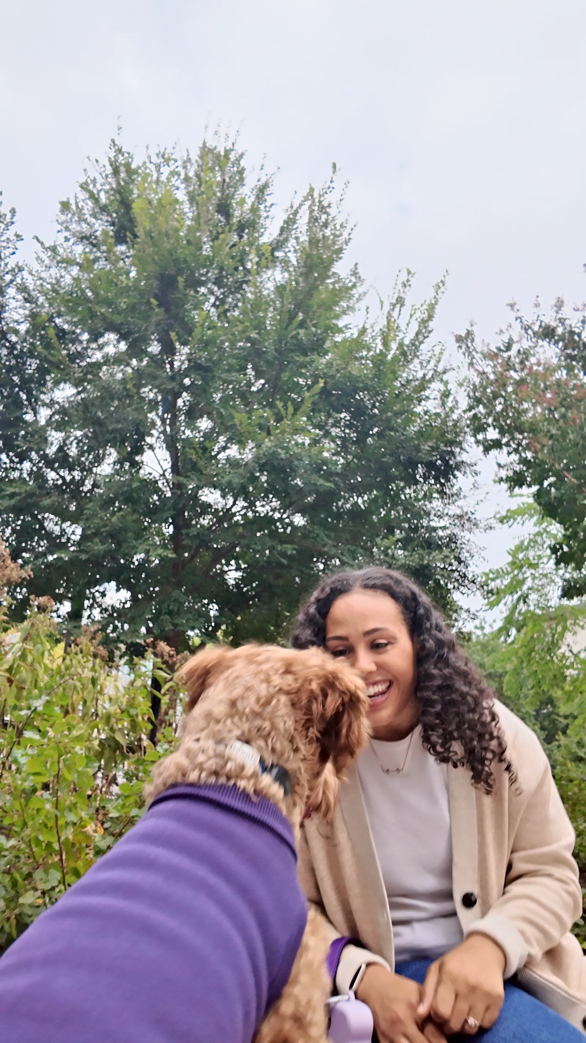 Model in the Sand & Ivory cardigan with Bennie the Yorkie Poo in the Clubhouse Purple dog sweater