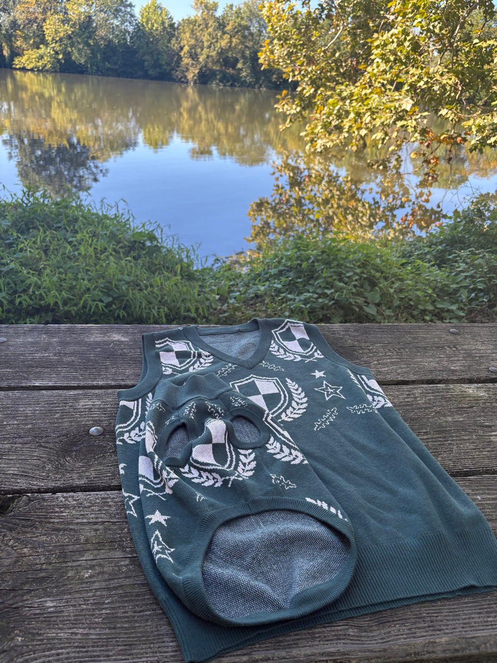 Green crest dog sweater and matching sweater vest by the water
