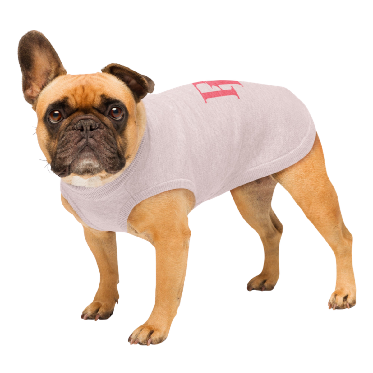 Public Pups Preppy Dog Sweater — Ballerina & Ruby Pink