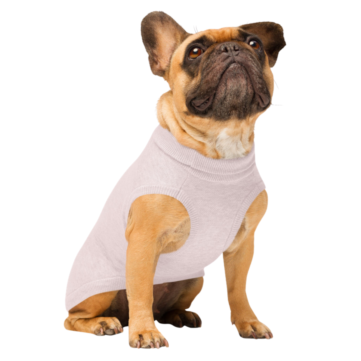 Public Pups Preppy Dog Sweater — Ballerina & Ruby Pink