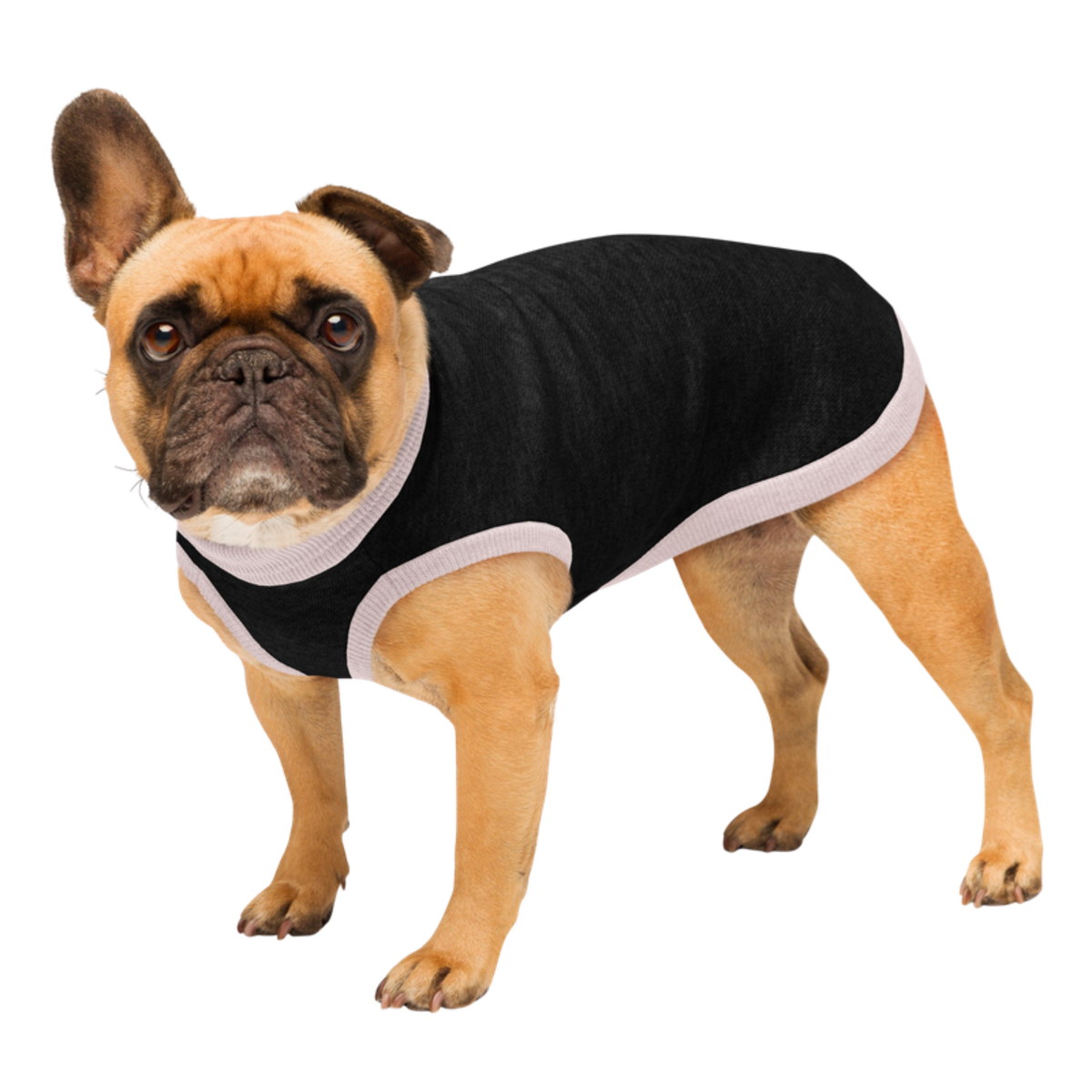 Public Pups Black & Pink Dog Sweater — left front view