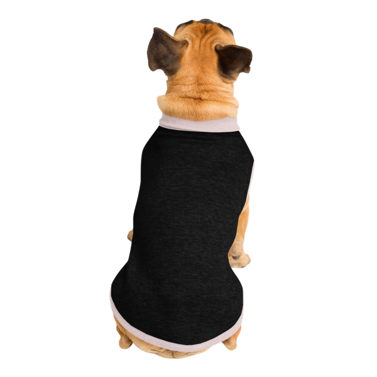 Public Pups Black & Pink Dog Sweater — back view