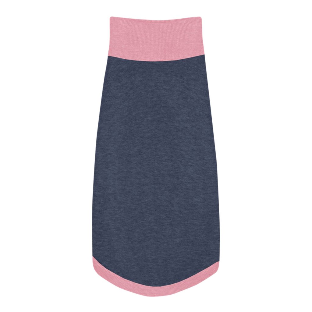 Public Pups Preppy Dog Sweater in Blue & Pink, back view