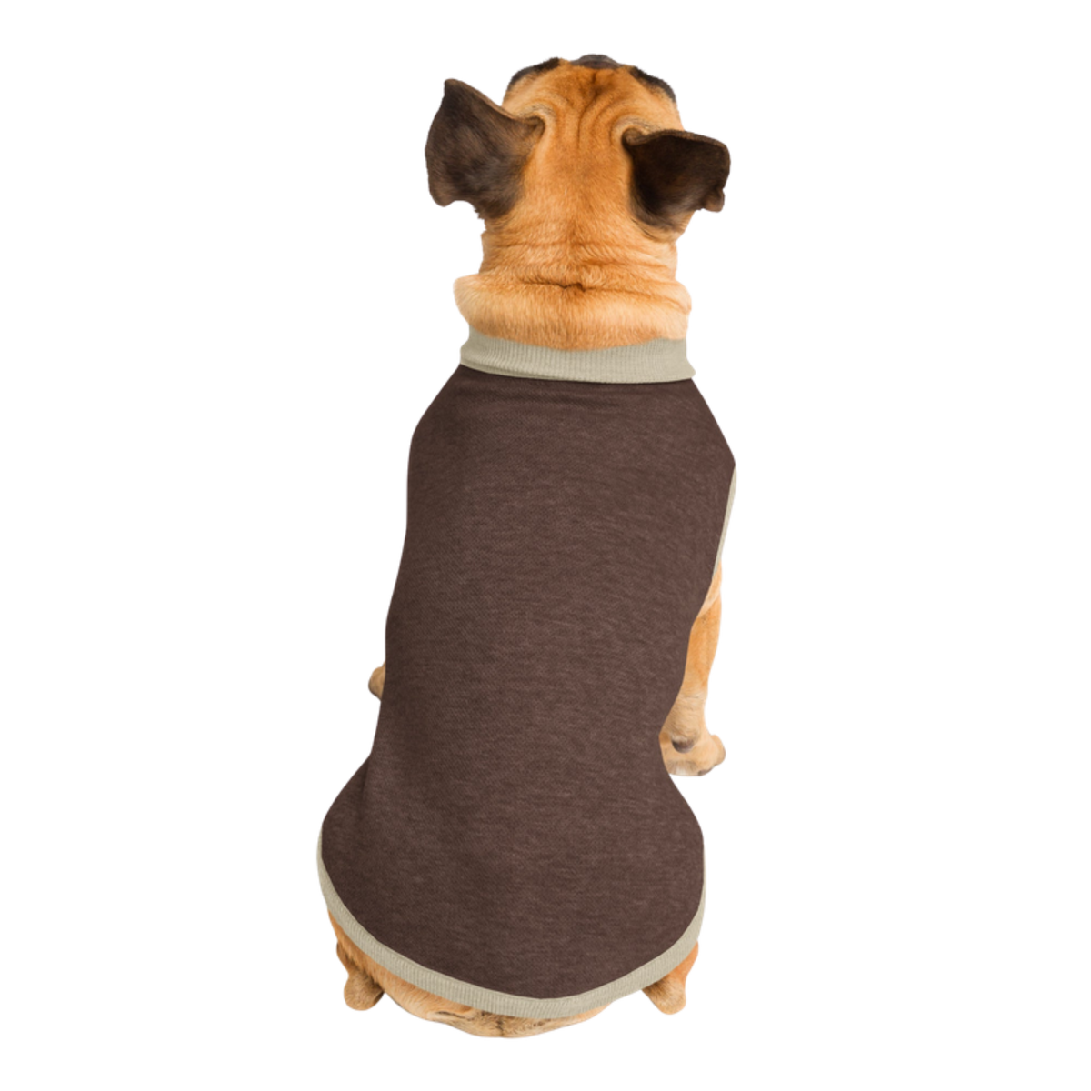 Public Pups Preppy Dog Sweater in Brown & Cream, back view on dog, size Medium