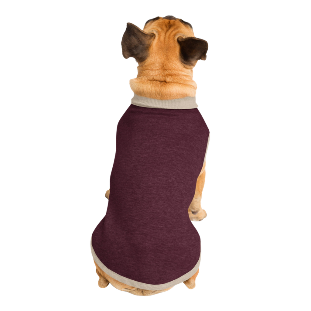 Public Pups Preppy Dog Sweater in Burgundy & Biscuit, back view on Pug