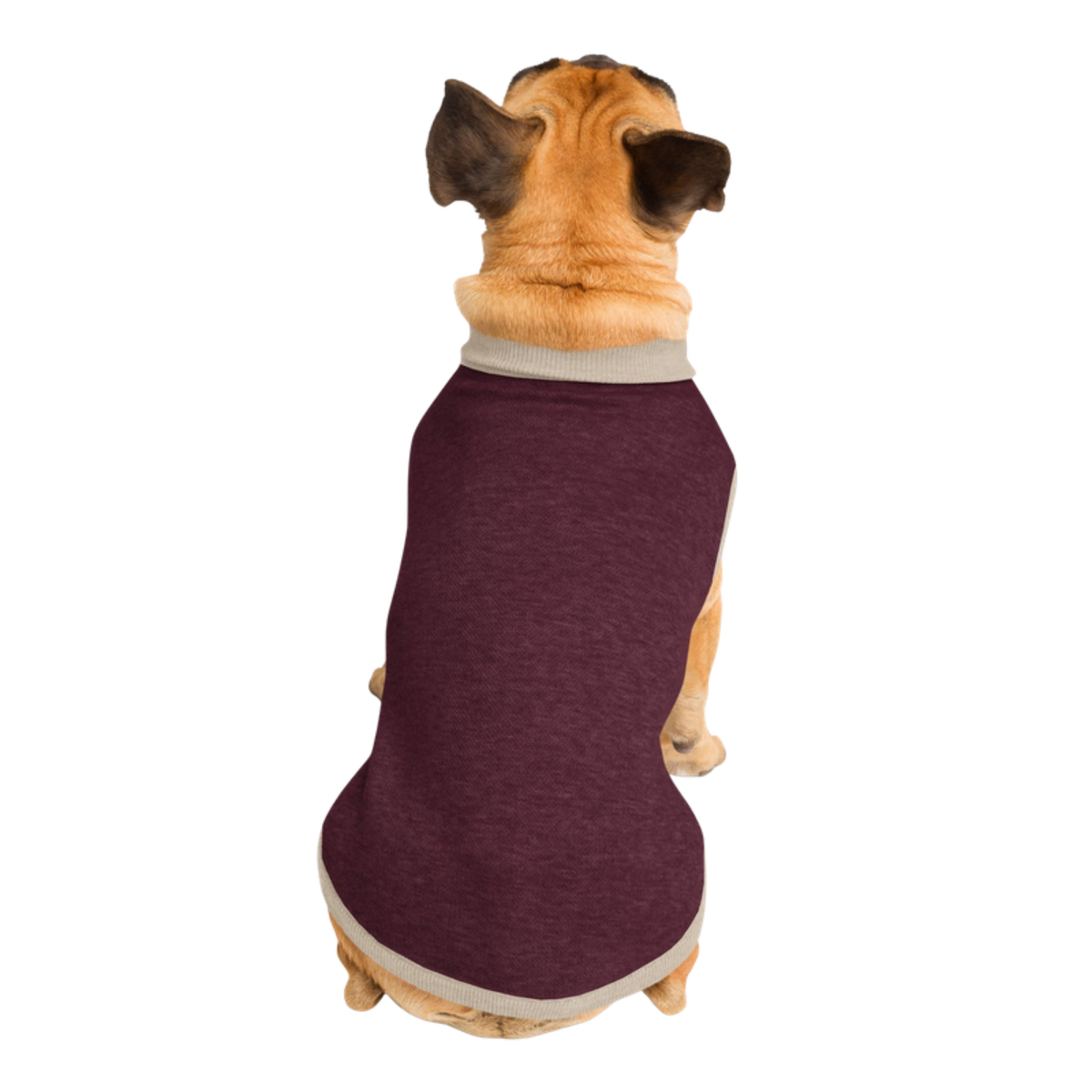 Public Pups Preppy Dog Sweater in Burgundy & Biscuit, back view on Pug
