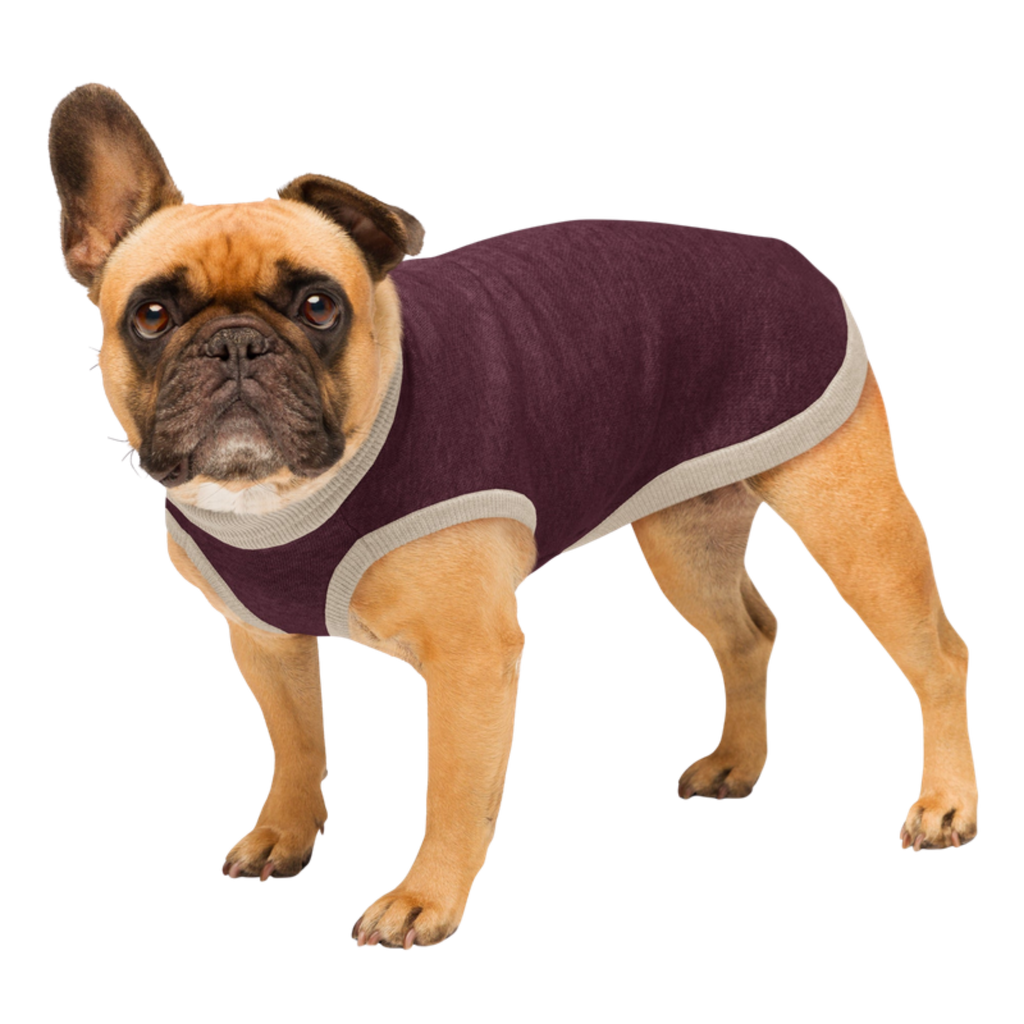 Public Pups Preppy Dog Sweater in Burgundy & Biscuit, side profile on dog