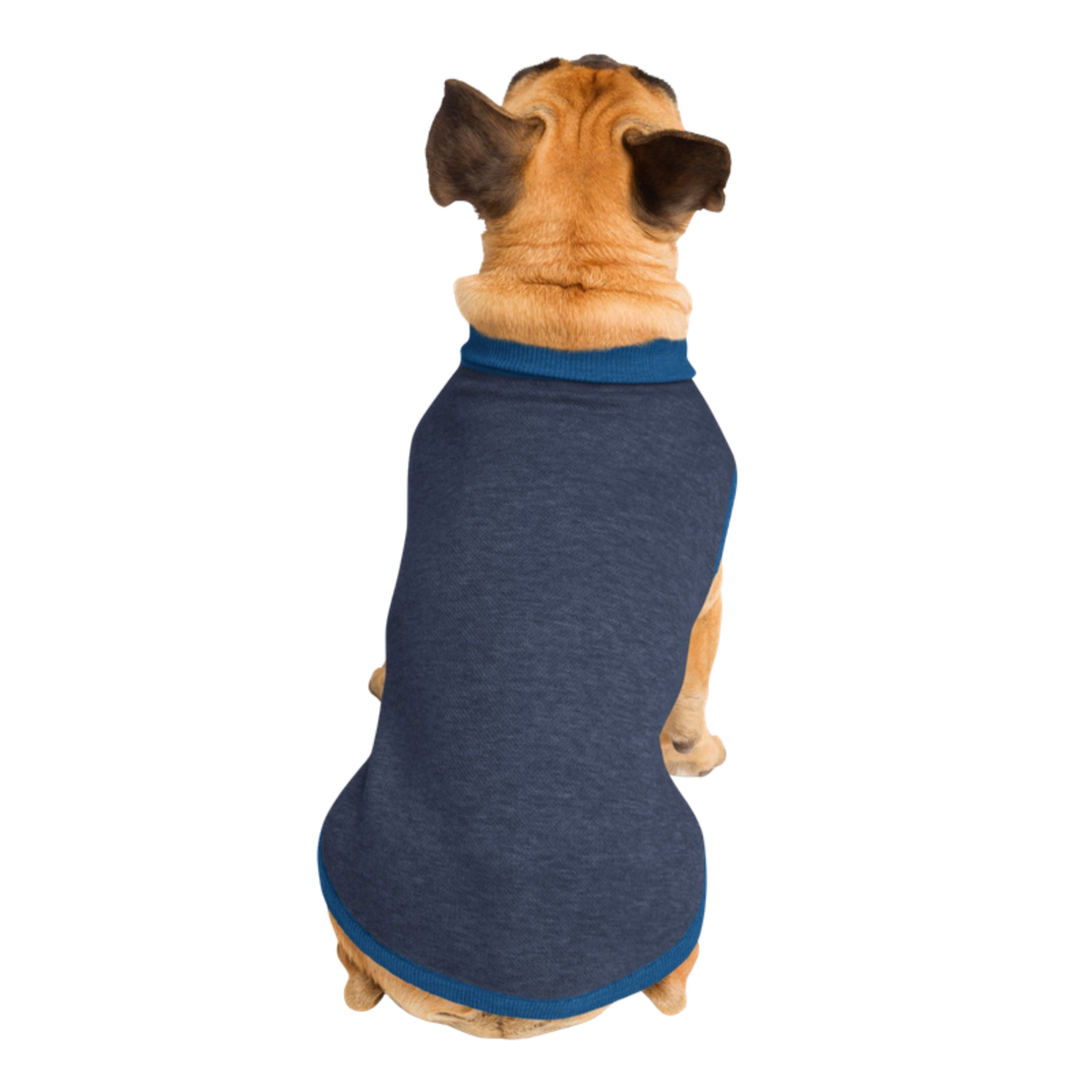 Public Pups Preppy Dog Sweater — Navy & Collegiate Blue