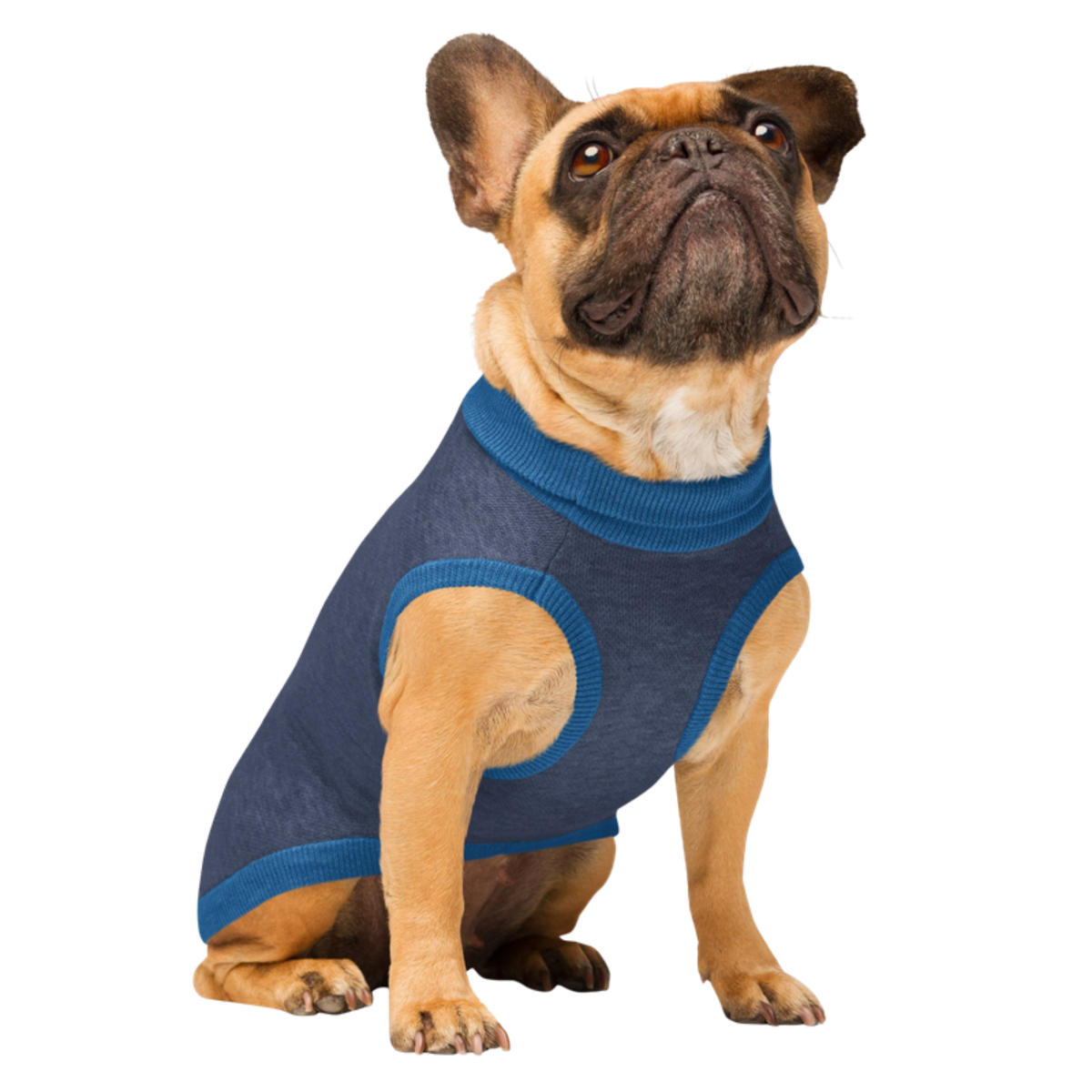 Public Pups Preppy Dog Sweater — Navy & Collegiate Blue