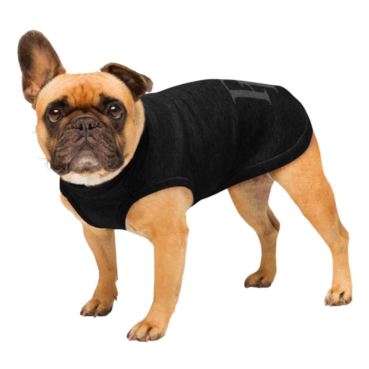 Public Pups Preppy Dog Sweater in Onyx & Graphite, left front view