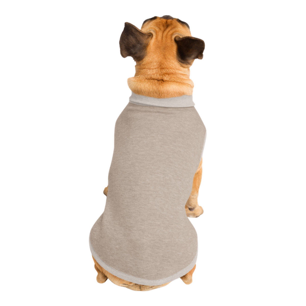 Rear view of the Sand & Ivory dog sweater showing the jacquard weave