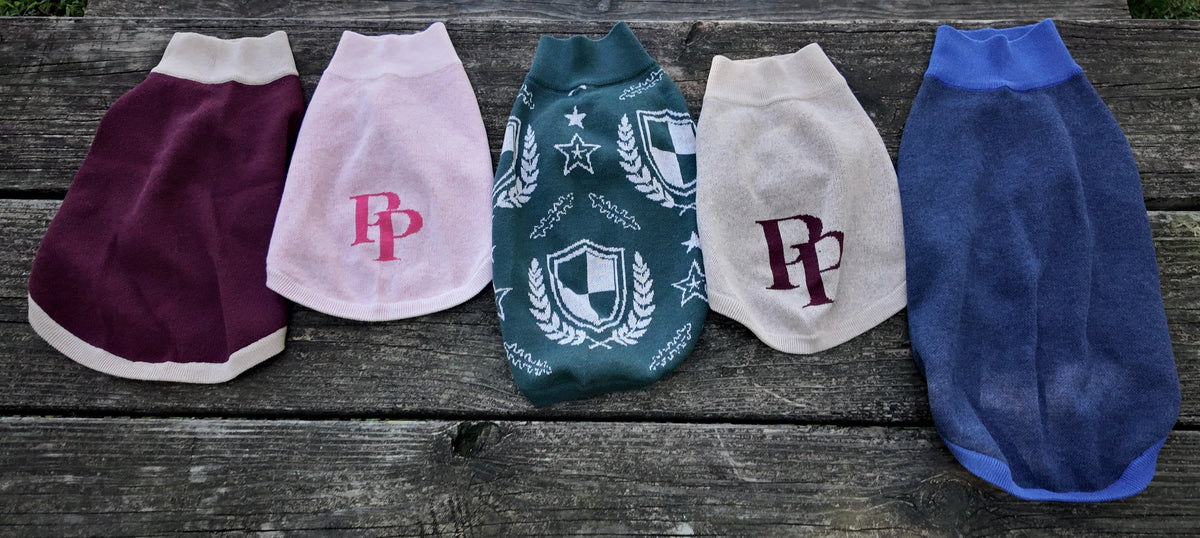 Public Pups dog sweaters in five colorways lined up on a bench