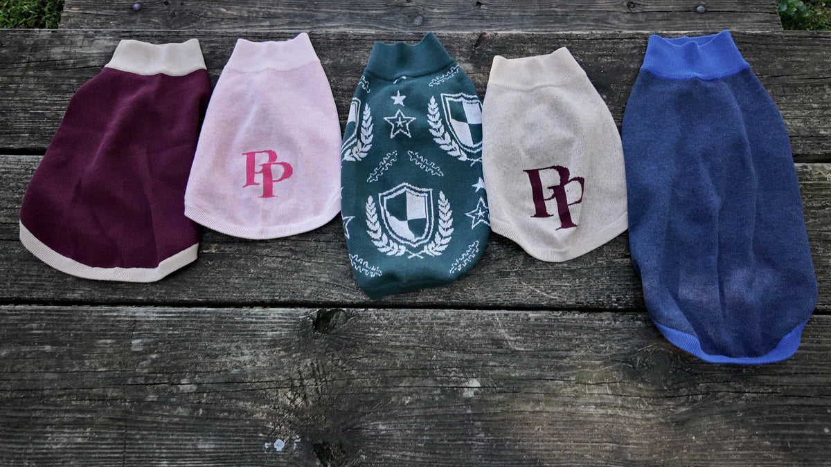 Five Public Pups dog sweaters side by side on a bench: Burgundy & Biscuit, Ballerina & Ruby Pink, Hunter Green Crest, Chai & Crimson and Navy & Collegiate Blue
