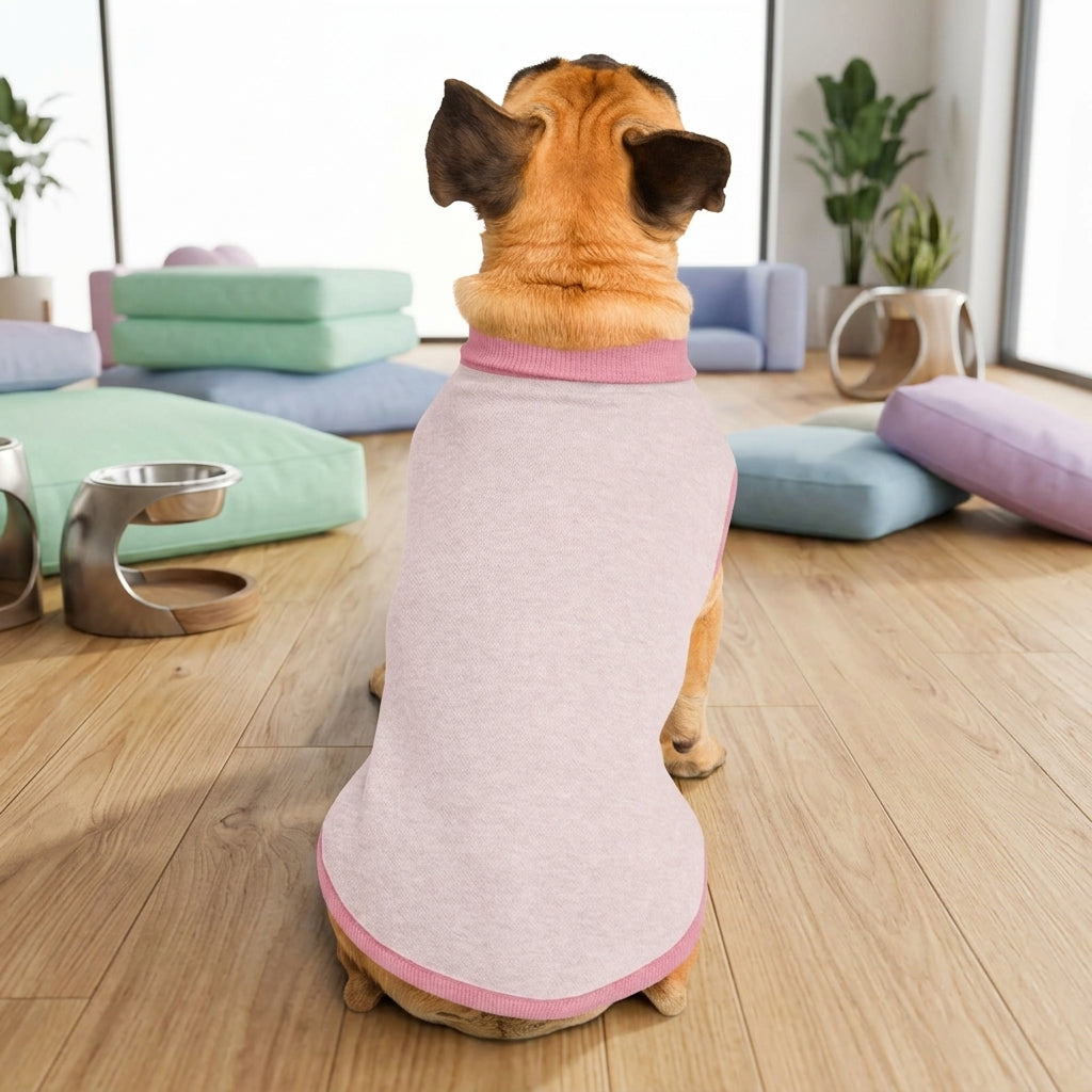 Dog wearing Public Pups Classic Knitted Dog Sweater in doggy day care lounge